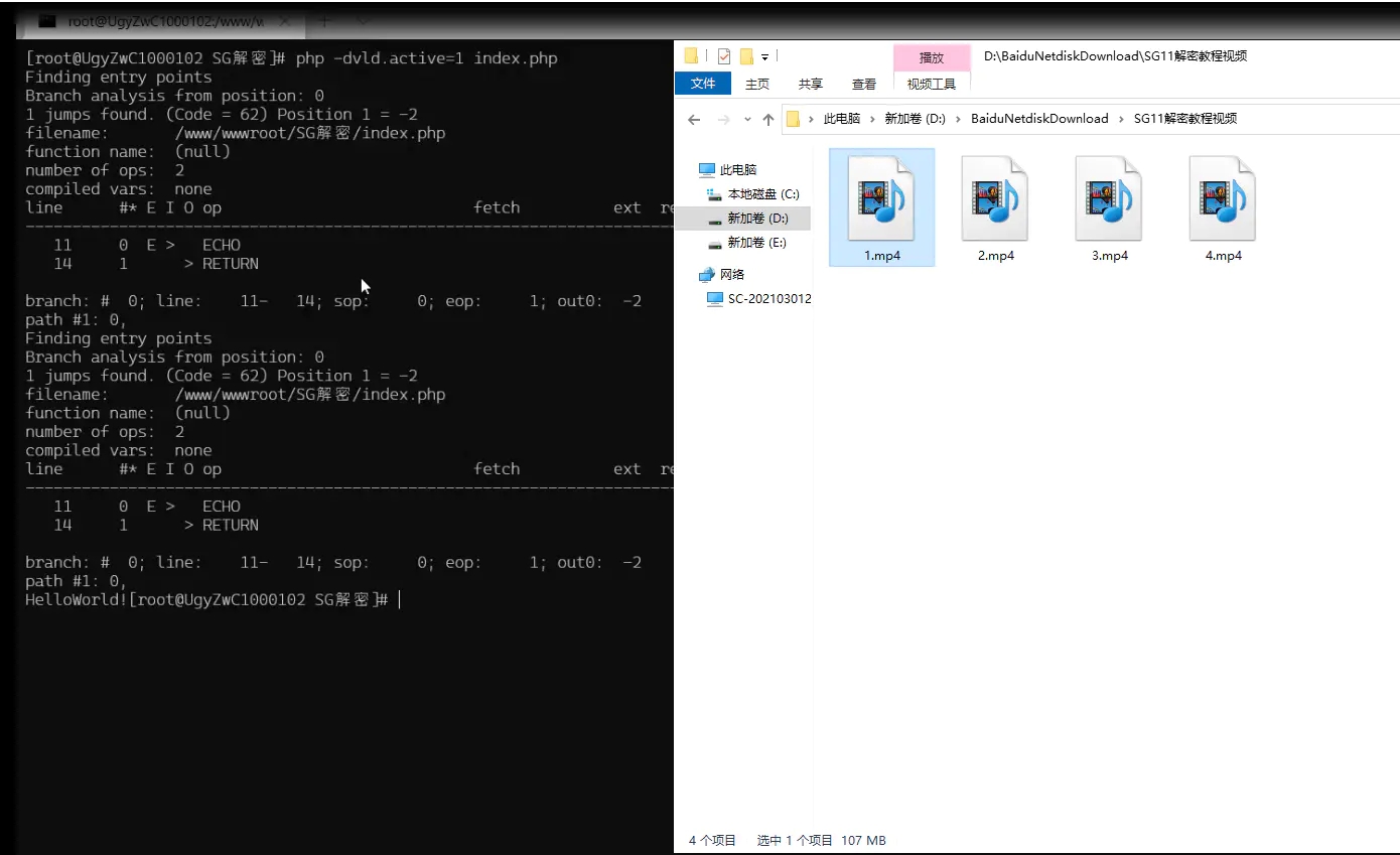 PHP扩展SG11解密SG11解密教程免费下载「视频教程」插图