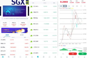 2023全新升级运营版多语言微交易交易所H5新UI微盘交易源码下载