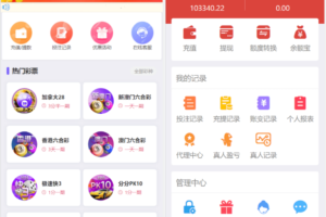 大富二开UI双玩法天天娱乐/番摊玩法/USDT支付/采集已修复/带搭建教程