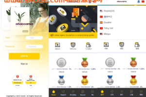 一套全新UI多语言抢单刷单系统/卡单连单/订单自动匹配系统