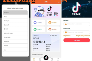 海外tiktok抢单刷单系统/前端uniapp/多语言刷单打针