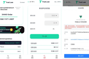 二开版多语言贷款秒U系统/usdt借贷授权/贷款盗U源码