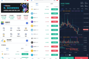 Phemex多语言交易所源码/期权交易+合约交易+新币申购+锁仓挖矿+平台币发行+K线行情控制/前端uniapp编译后+后端PHP