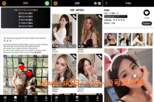 php空降刷单系统源码/多语言空降/酒店空降刷单源码【多语言海外VUE空降刷单】